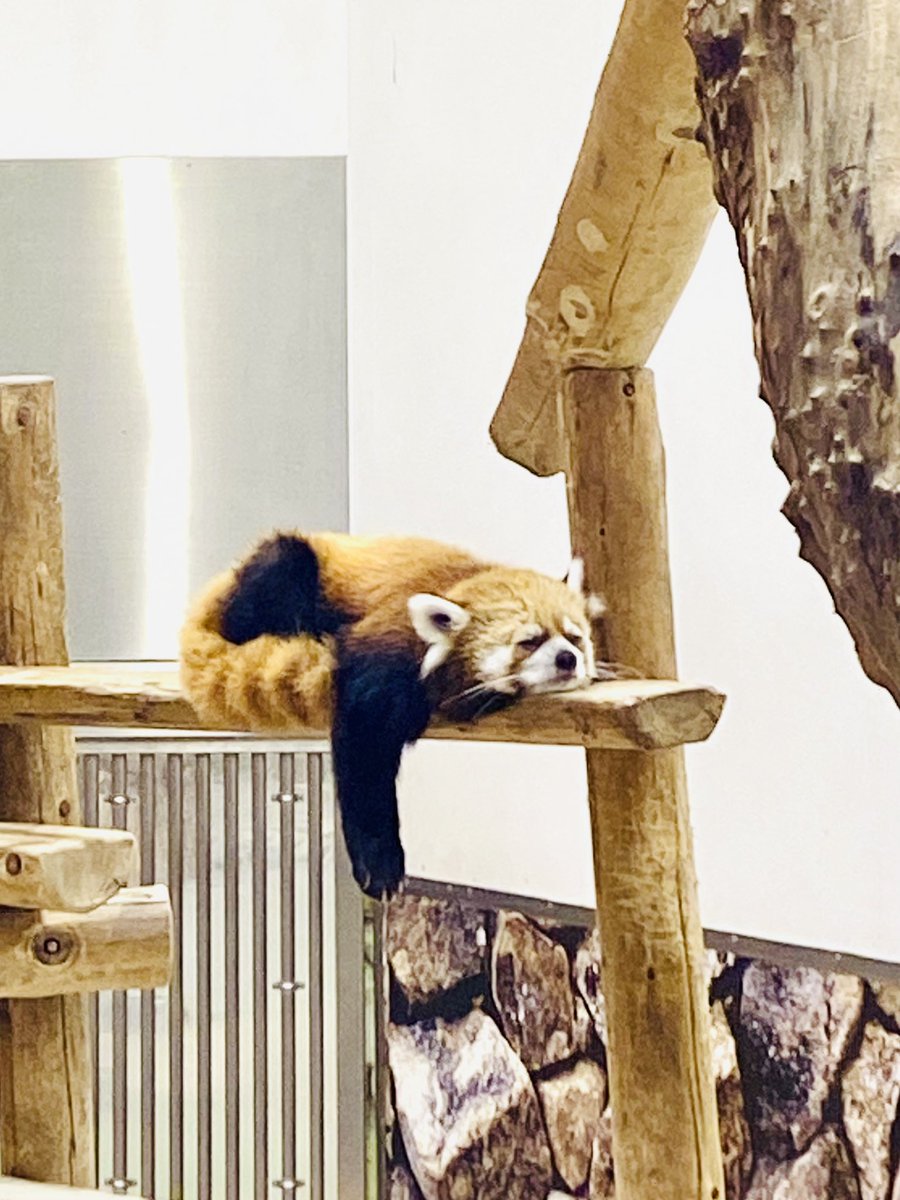 かれん (@feather0502) / Posts / X