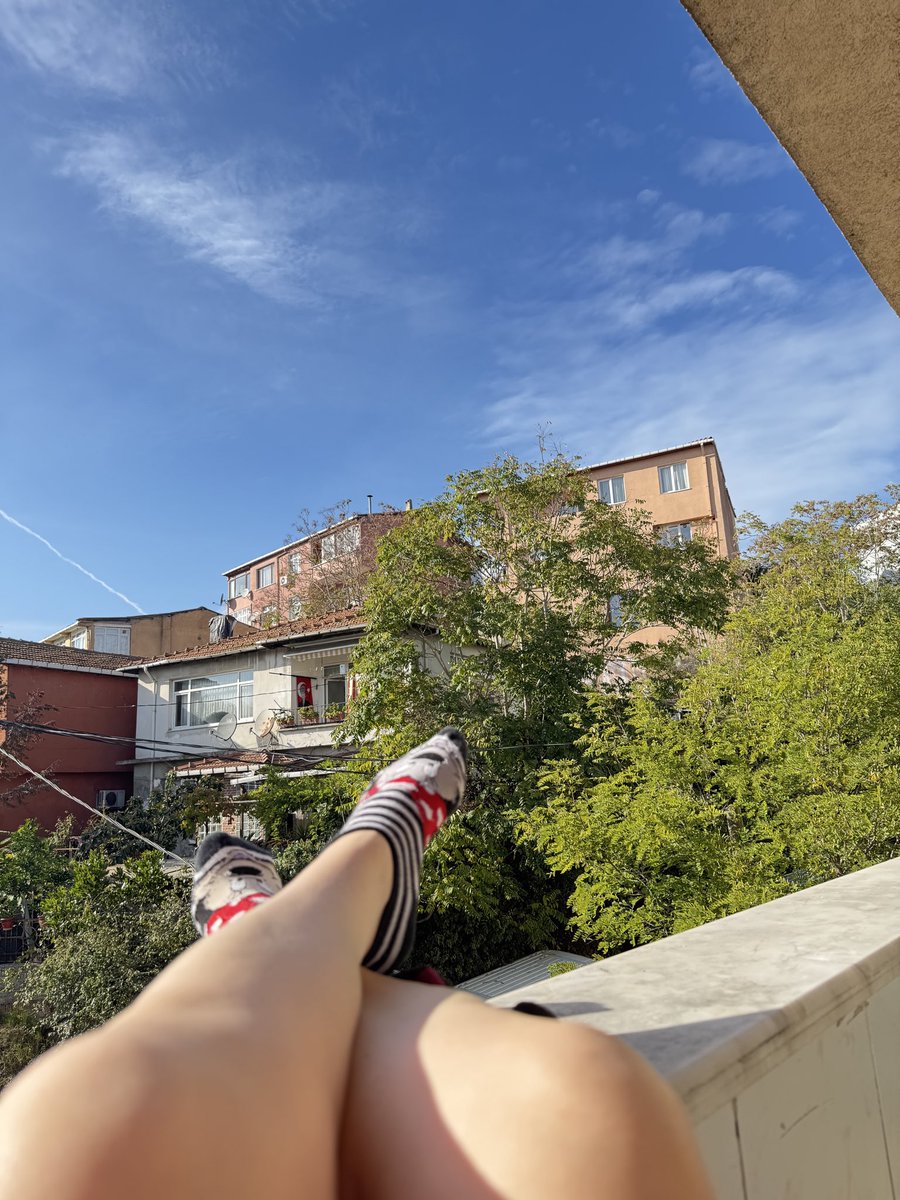 ‘ tweet media