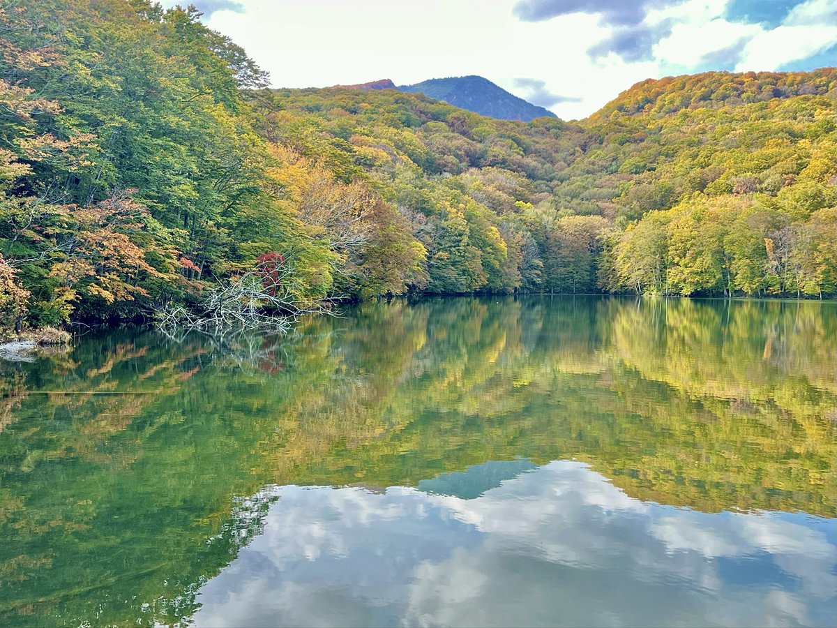 RUN (@run474) / Posts / X