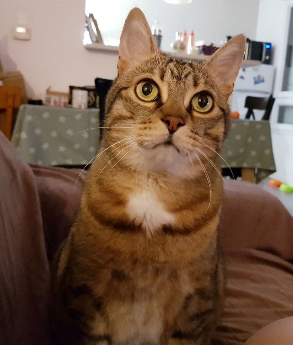 Mathilde tweet media