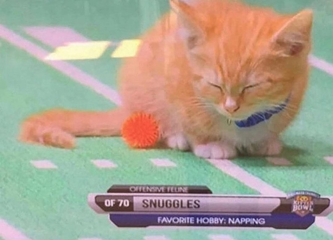 Catsillyness's tweet image. Snuggles!