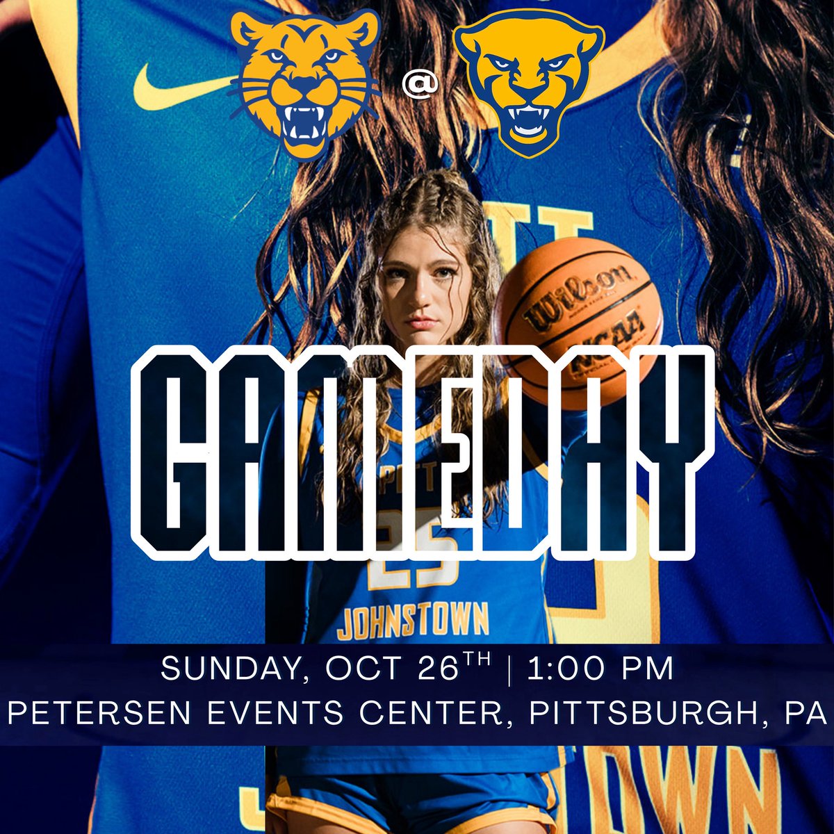 UPJ Women's Basketball tweet media