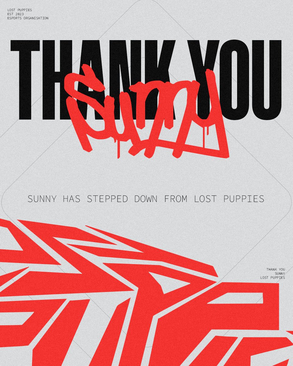 Lost Puppies tweet media