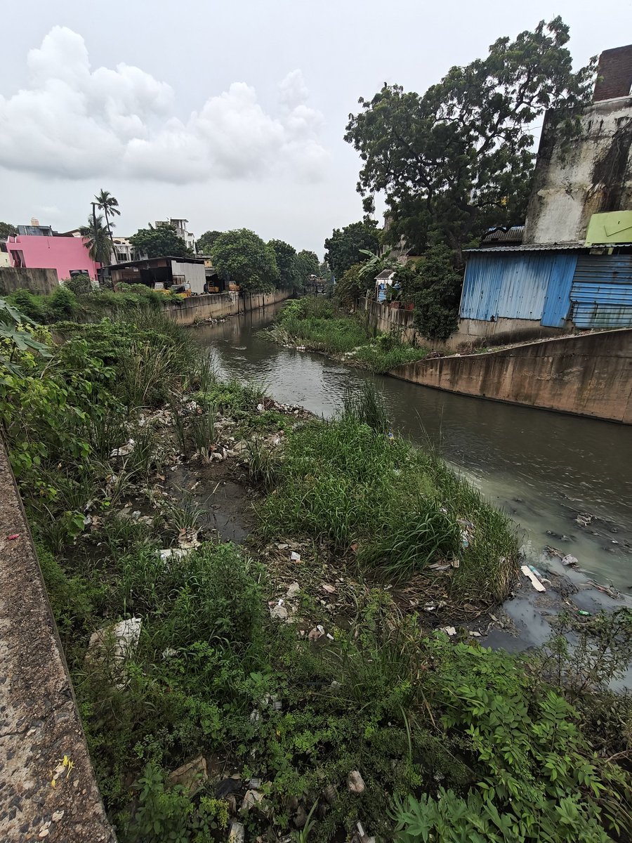 jai_lm's tweet image. "While the CM & Dy CM focus on Adyar, North Chennai's canals remain choked and neglected. Every year, the same issue persists due to official negligence. It's November, and North Chennai's canals are still crying for attention. #ChennaiFloods #NorthChennai"