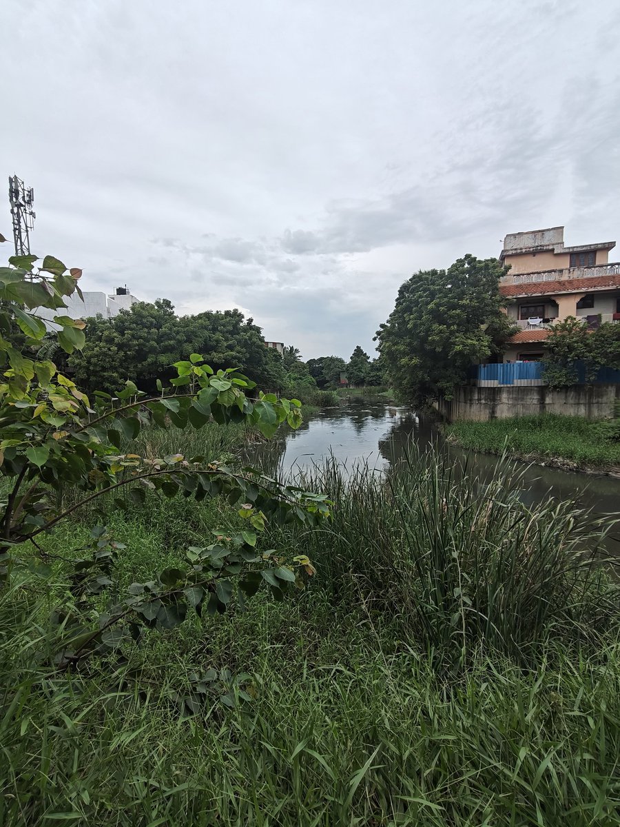 jai_lm's tweet image. "While the CM & Dy CM focus on Adyar, North Chennai's canals remain choked and neglected. Every year, the same issue persists due to official negligence. It's November, and North Chennai's canals are still crying for attention. #ChennaiFloods #NorthChennai"