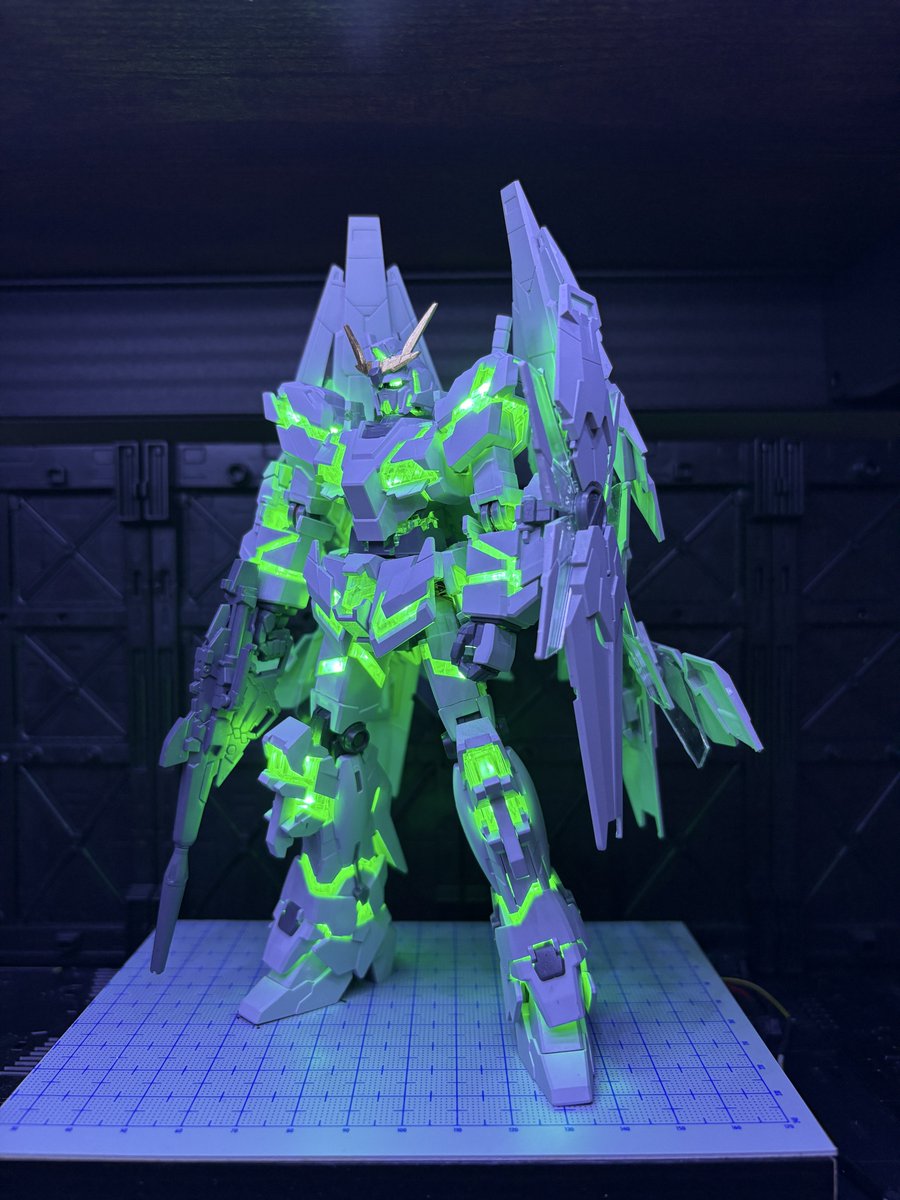 Bear-Rider (@BearTwRider) / Posts / X