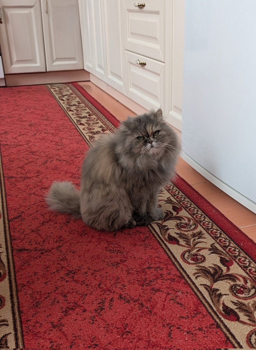 Фото зі значним мемним потенціалом