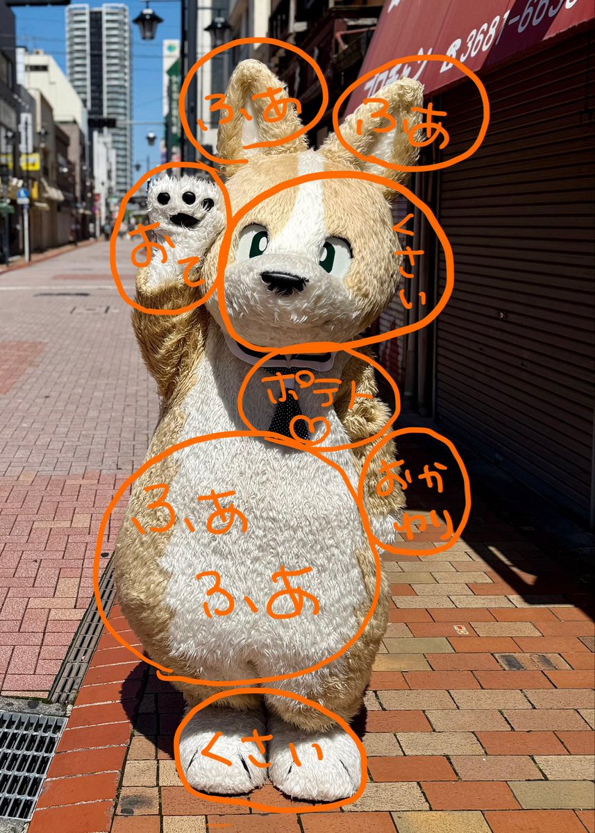 こーた(幸多) (@p_welsh_corgi) / Posts / X