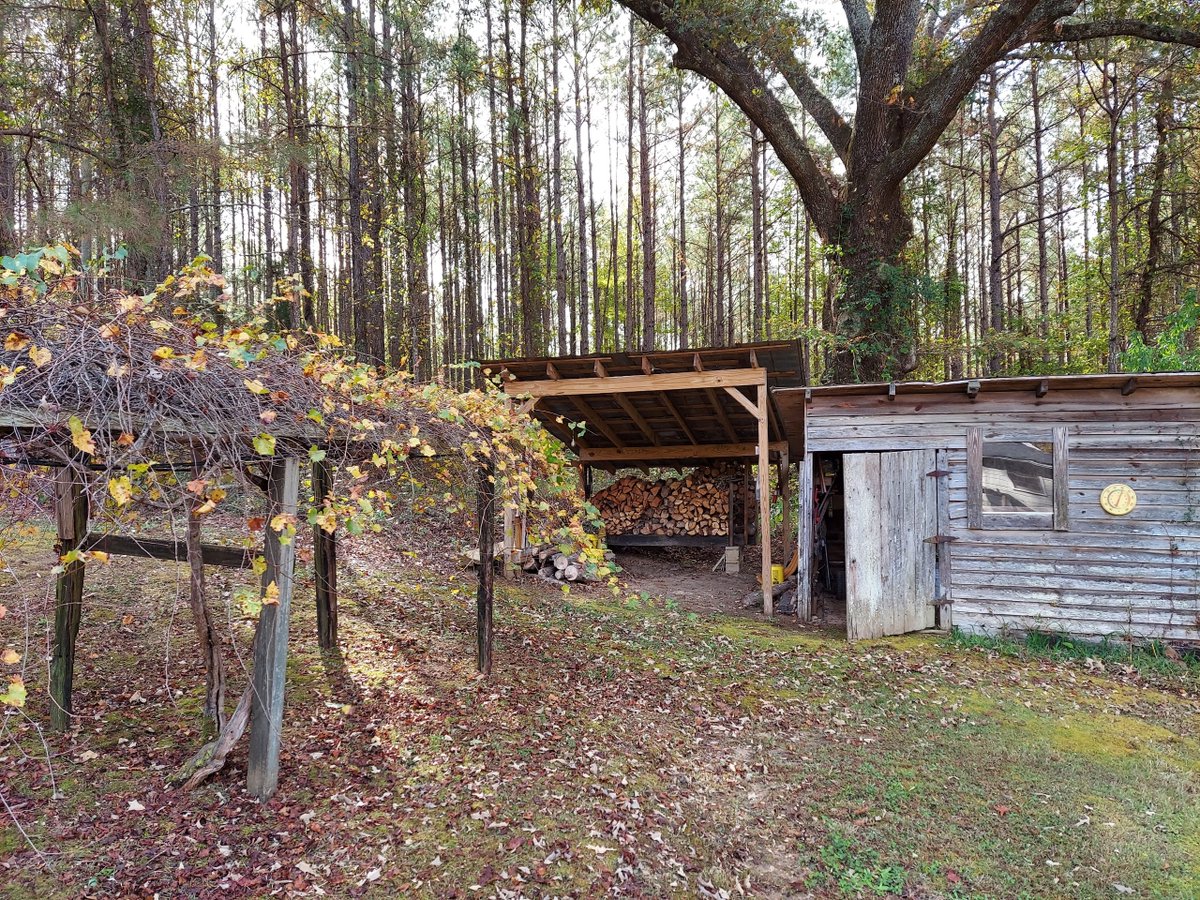 BrainyPixel's tweet image. Just getting back from a couple of weeks at the farm. I love that moment when all the work is done and you can take a deep breath before putting the farm to bed for the winter. #bliss
