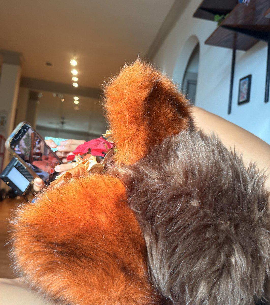 like bruh I’m just tryna watch tik toks