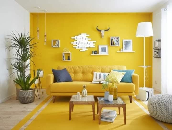 Mostafawi_Est's tweet photo. An elegance of home interiors appears when the sofa sets are harmonized rightfully with flooring and wall decore because they complement each other over all.
Engineer your home to a harmonious frame with Mostafawi Establishment home furnishing.
Connect  https://t.co/mOUALex2sx https://t.co/uVIKrYlUJD