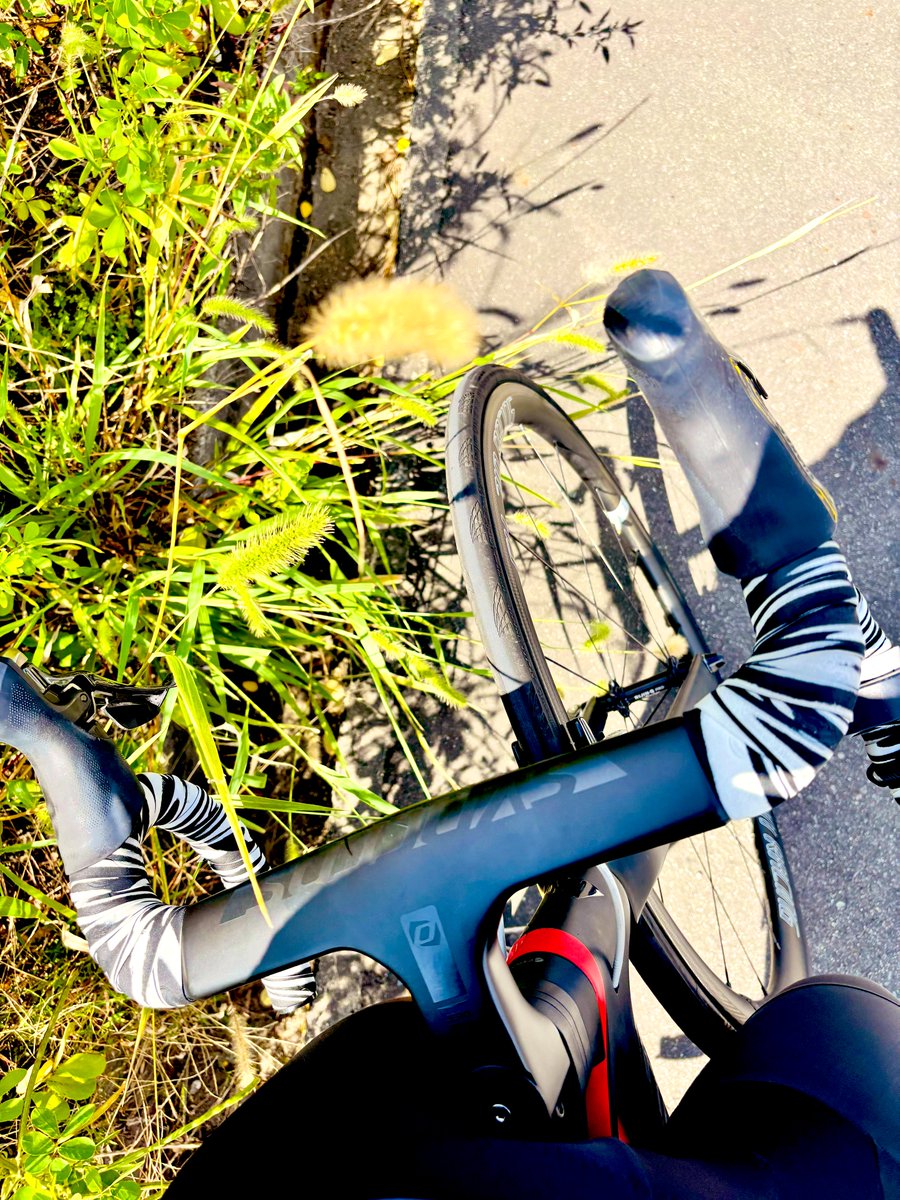 きくりんちゃん (@kool123455) / Posts / X