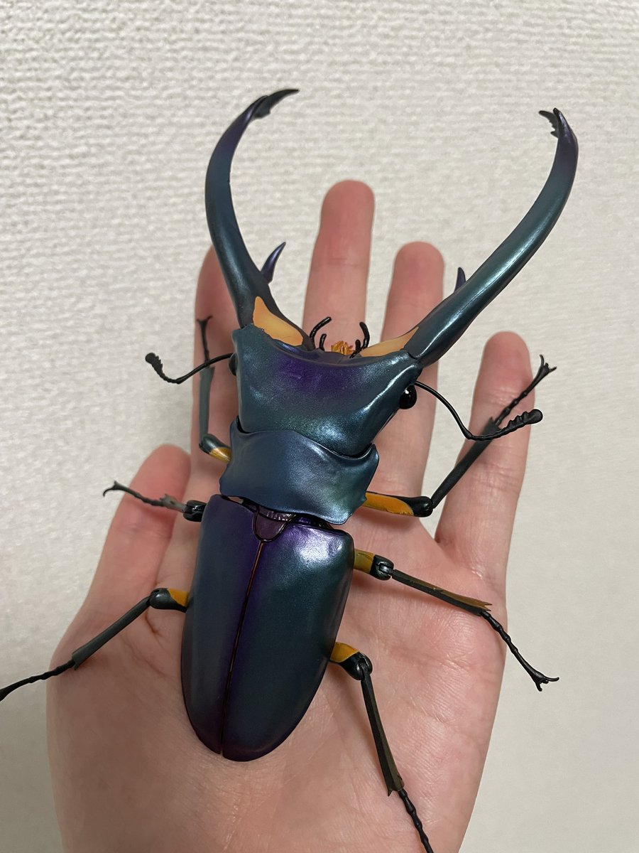 カモノハシです オカ爺ふぉふぉふぉ！！ on X