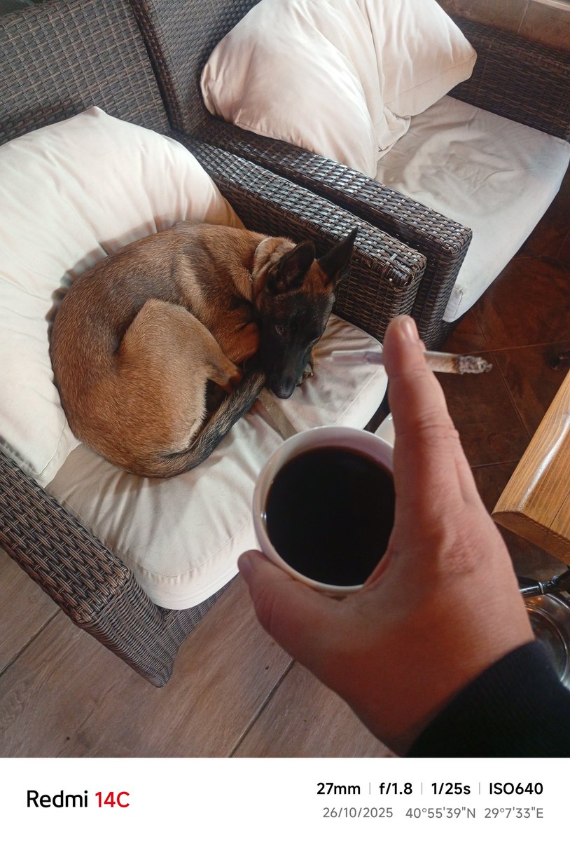 Günaydın... Sırpların amk!!!