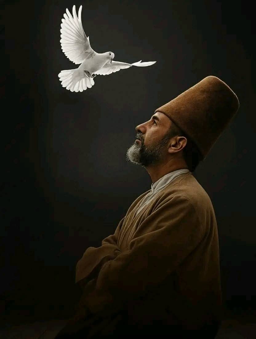 FjZBfuIgnmCrDgG's tweet photo. تَعلّم أن تُعطي غيابك لمن لا يعرفُ قيمة حضورك،
وجالس جميلَ الروح… تُصِبْكَ عَدوَى جَمالِه 

— شمس الدين التبريزي https://t.co/r89U9OTrrf