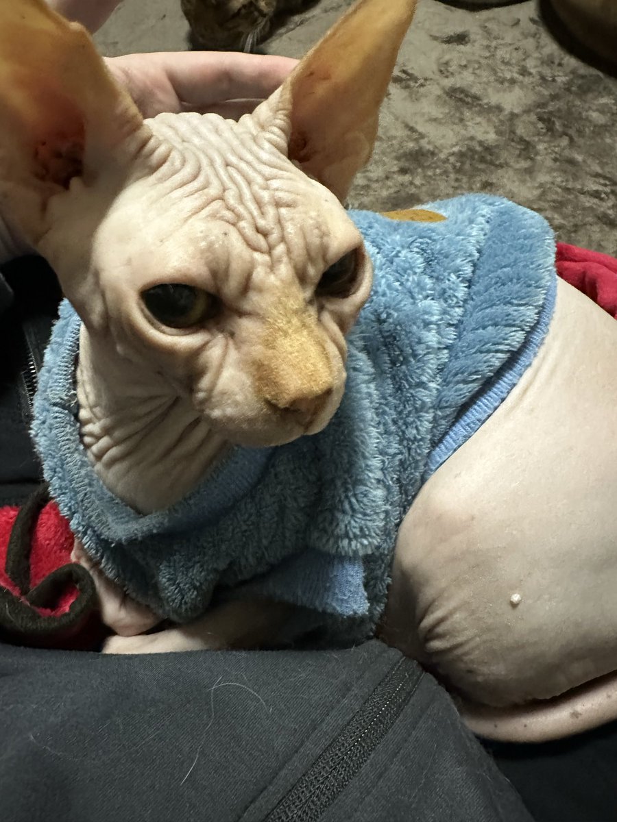 シコラズ・ケイジ on X