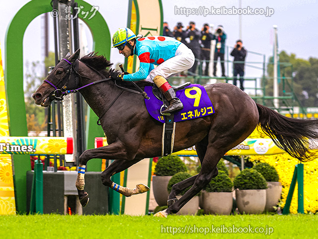 貴重「ボルト氏の馬術」 貴重「ボルト氏の馬術」 貴重「ボルト氏の馬術」 2025年最新】ボルト氏の