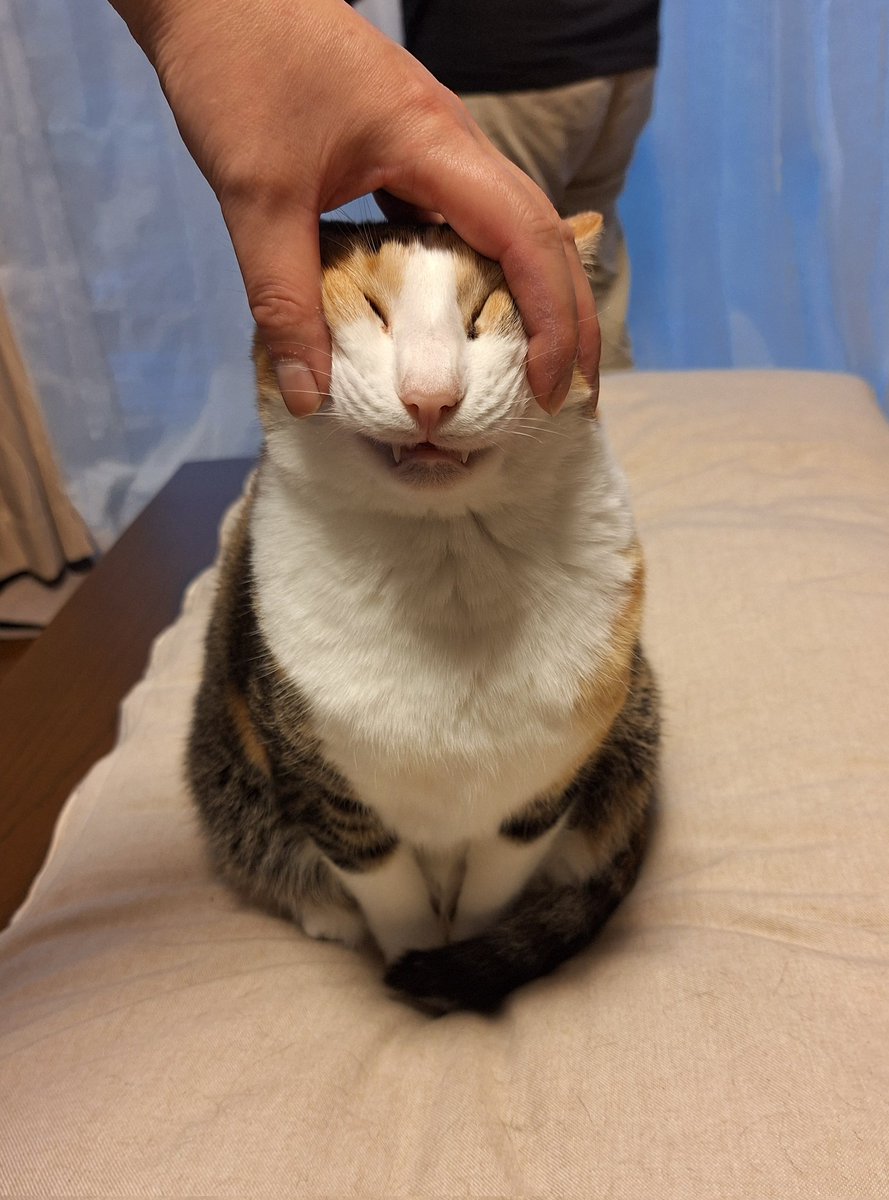 優しくされたくて行ってるからついでにラップもらえてラッキーだよね