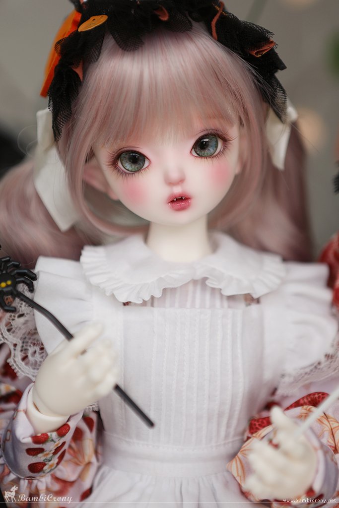 bambicrony_doll's tweet image. Memories of Autumn Night🌛
밤비크로니 뱀파이어 키슈 &amp;amp; 슬리핑키슈 
귀여운 뾰족귀와 앙증맞은 송곳니가 있으며,
할로윈 한정으로 특수스킨 그레이/밀크초코/라벤더핑크 주문 가능합니다
A little bite 🐾🐈‍⬛ ( 27th Oct, 2025 )
bambicrony.net