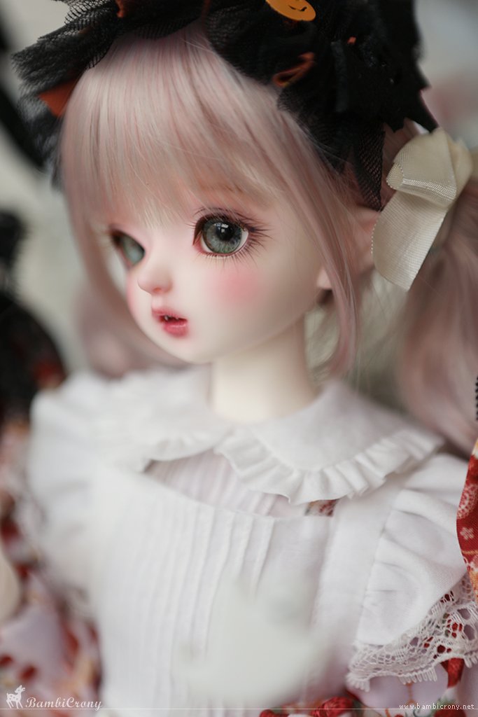 bambicrony_doll's tweet image. Memories of Autumn Night🌛
밤비크로니 뱀파이어 키슈 &amp;amp; 슬리핑키슈 
귀여운 뾰족귀와 앙증맞은 송곳니가 있으며,
할로윈 한정으로 특수스킨 그레이/밀크초코/라벤더핑크 주문 가능합니다
A little bite 🐾🐈‍⬛ ( 27th Oct, 2025 )
bambicrony.net