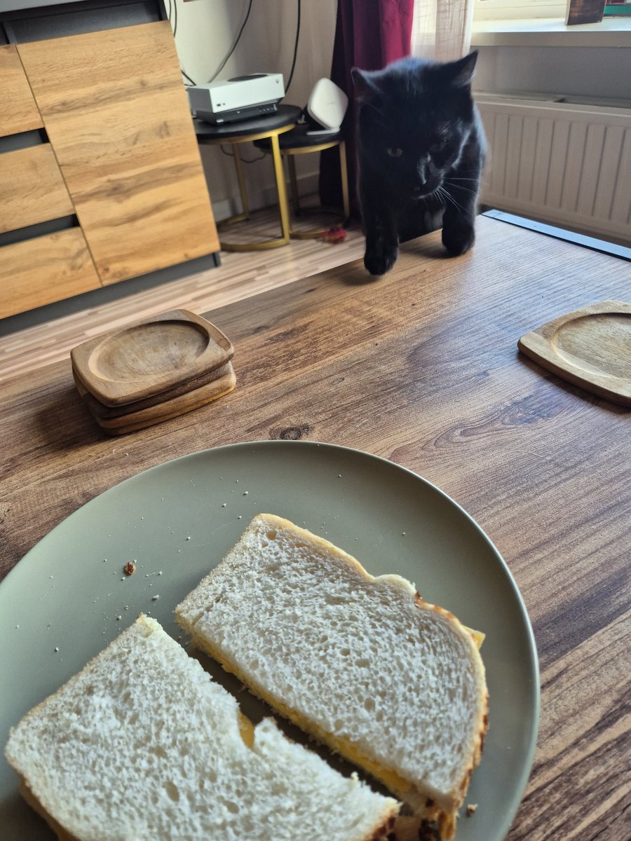 Piggy wil... oh wacht... Bowie wil oude kaas!

*krijgt ze niet