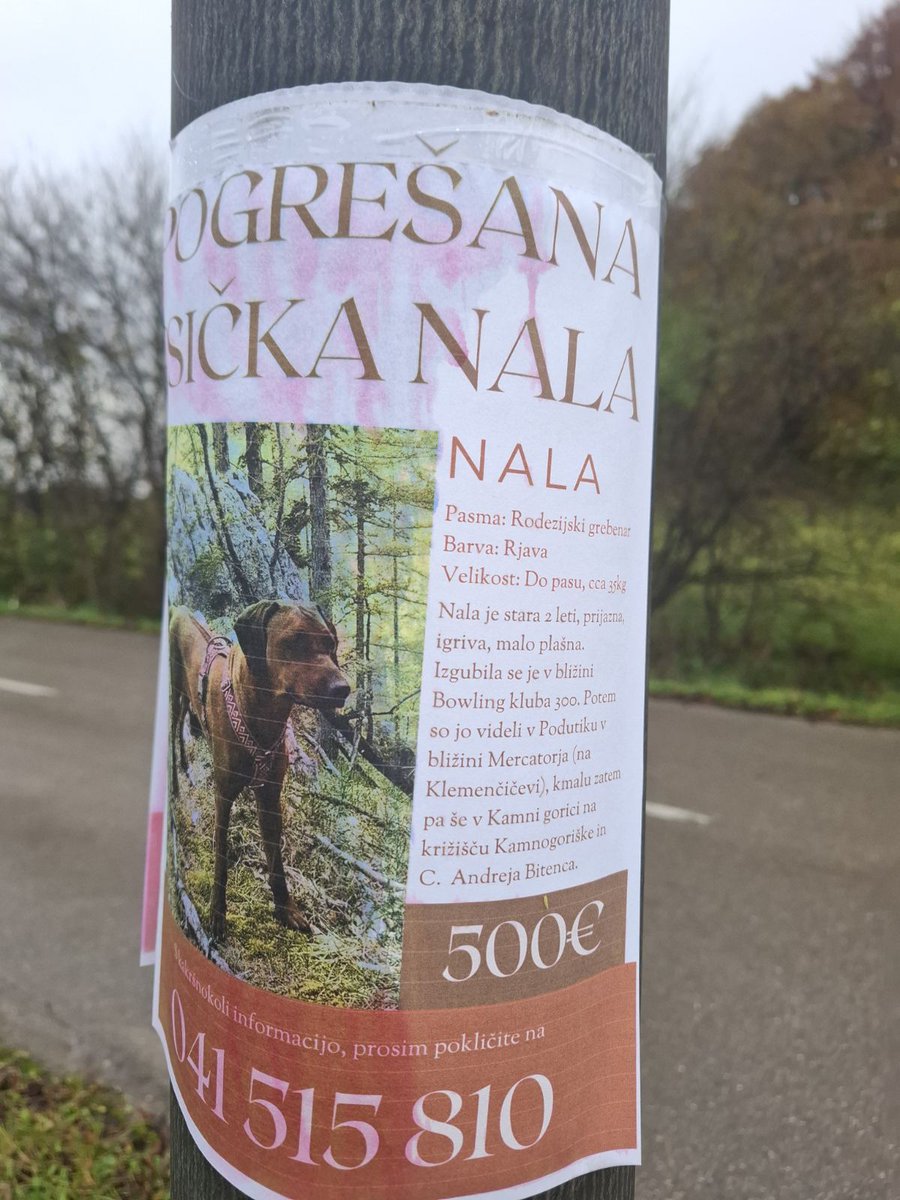 Miska boga, upam, da jo najdejo 😔.