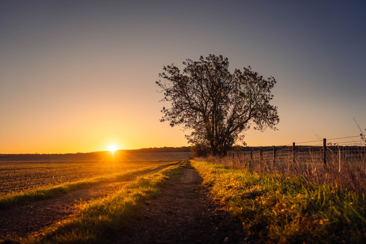 IrishPixel tweet media