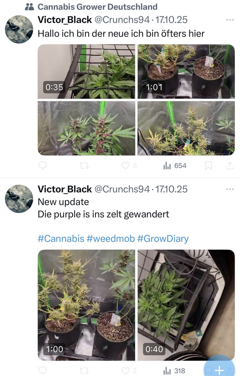 War wohl ein Treffer, wenn Wahrheit auf Psychose trifft 🤷‍♂️😂😂🥳🤡