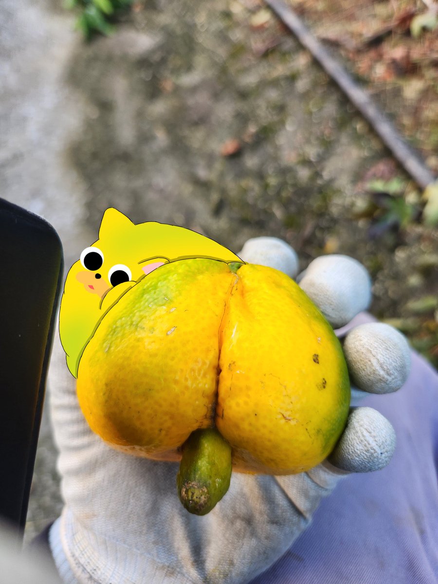 オニャンコポン カードリスト｜ユニオンアリーナ｜UNION ARENA