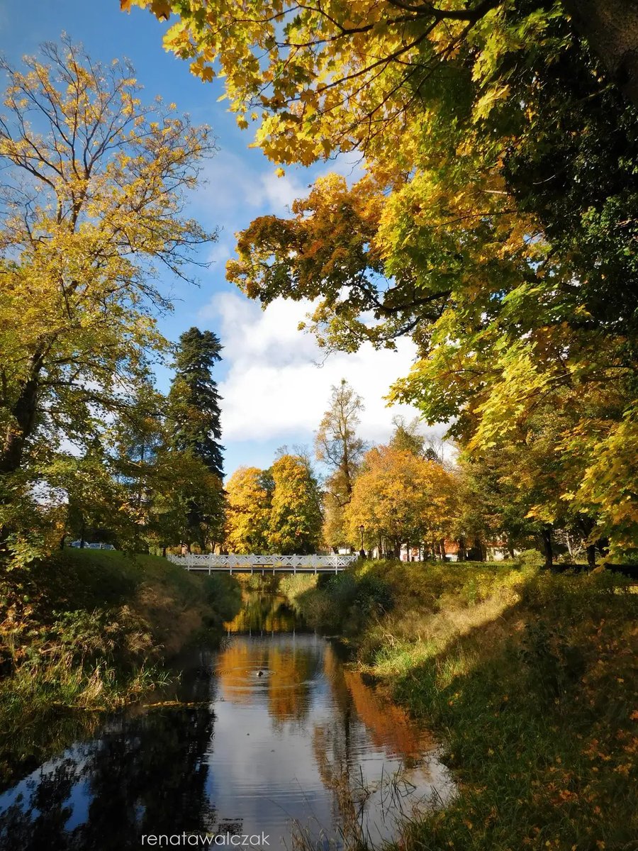 RenataWalczak11's tweet image. Jesienny park przy zamku w Krokowej.
#Kaszuby #Pomorze #Jesień