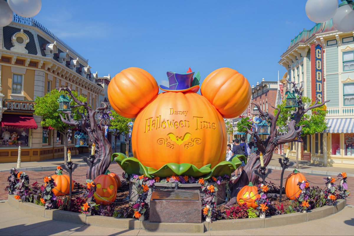 唯一晴れた日🌞🎃