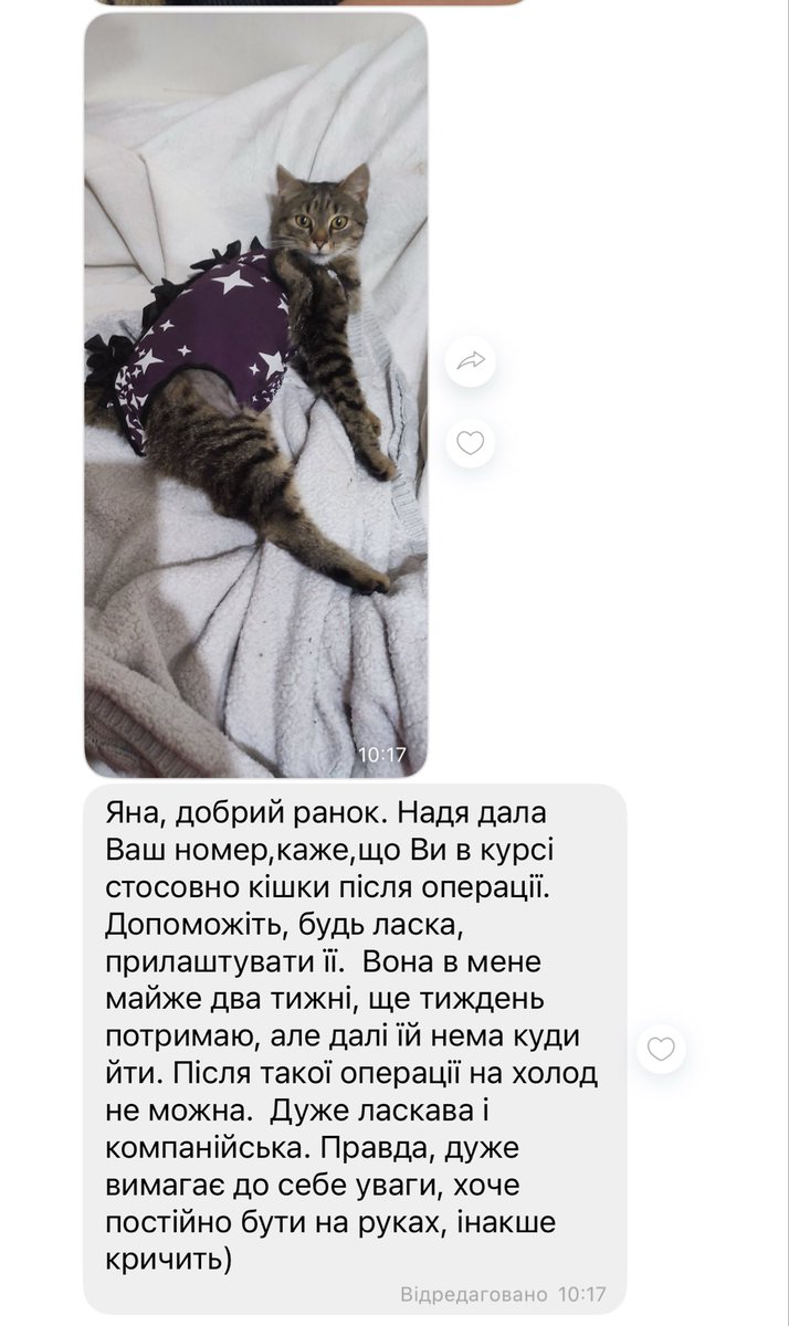 Друзі
Ніжну квіточку після вирізання пухлини знову випустять на вулицю😔
Куди підвезти, хто візьме?🥹