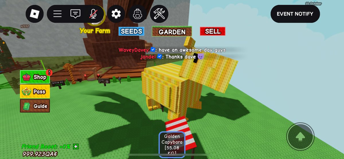 gramdig's tweet image. wts titan golden capybara age 63 55kg. 100k