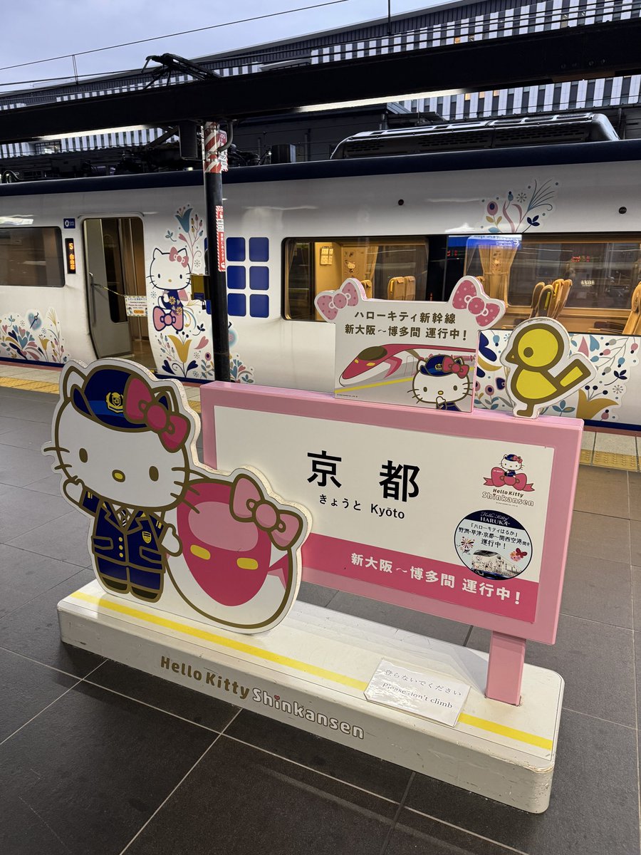 はる様•*¨*•.¸♬︎ HARURU (@haruru_0106_) / Posts / X