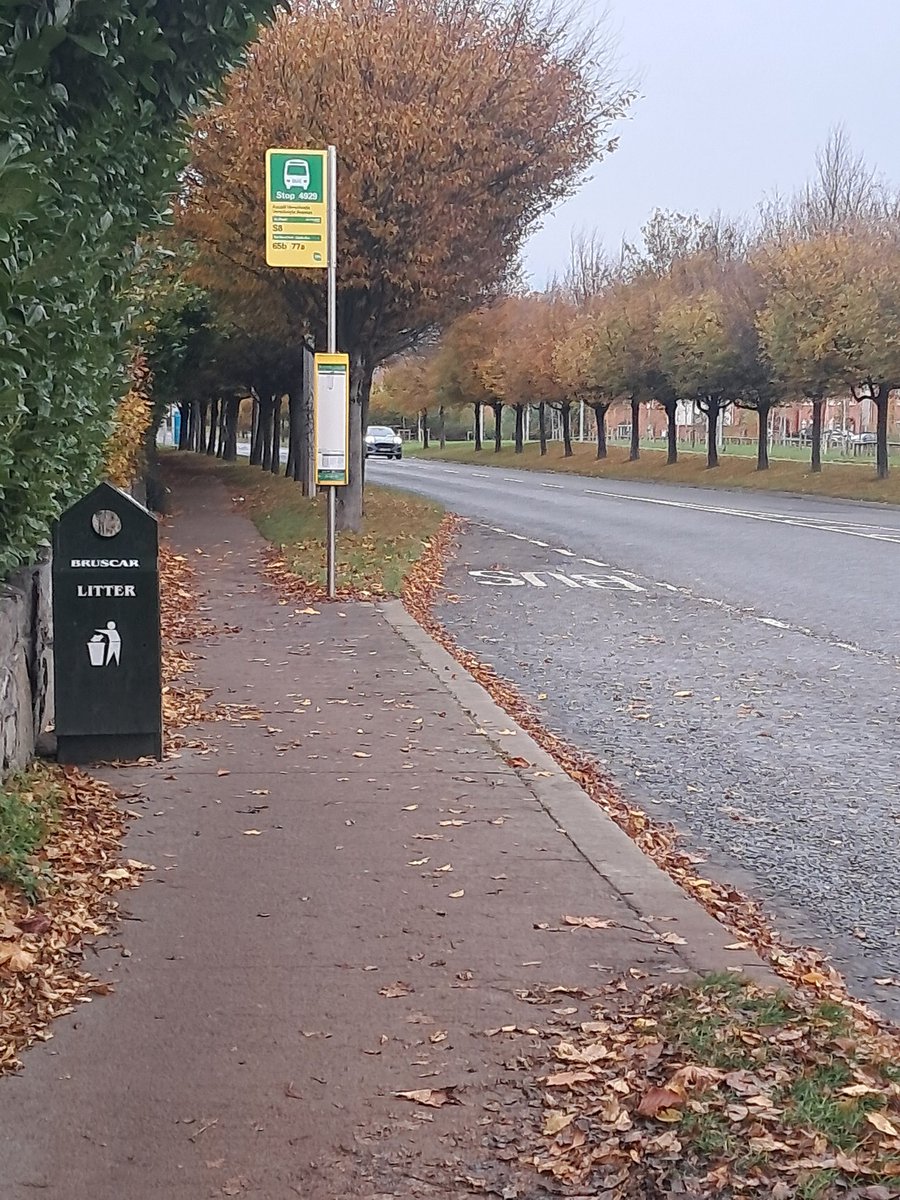 srfc03's tweet image. Early Start.
#HelicopterSunday