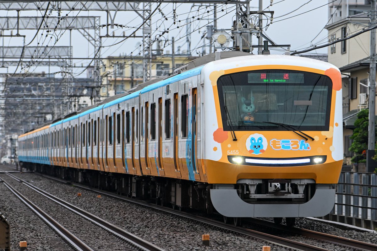 Tamagoページ たまご on X