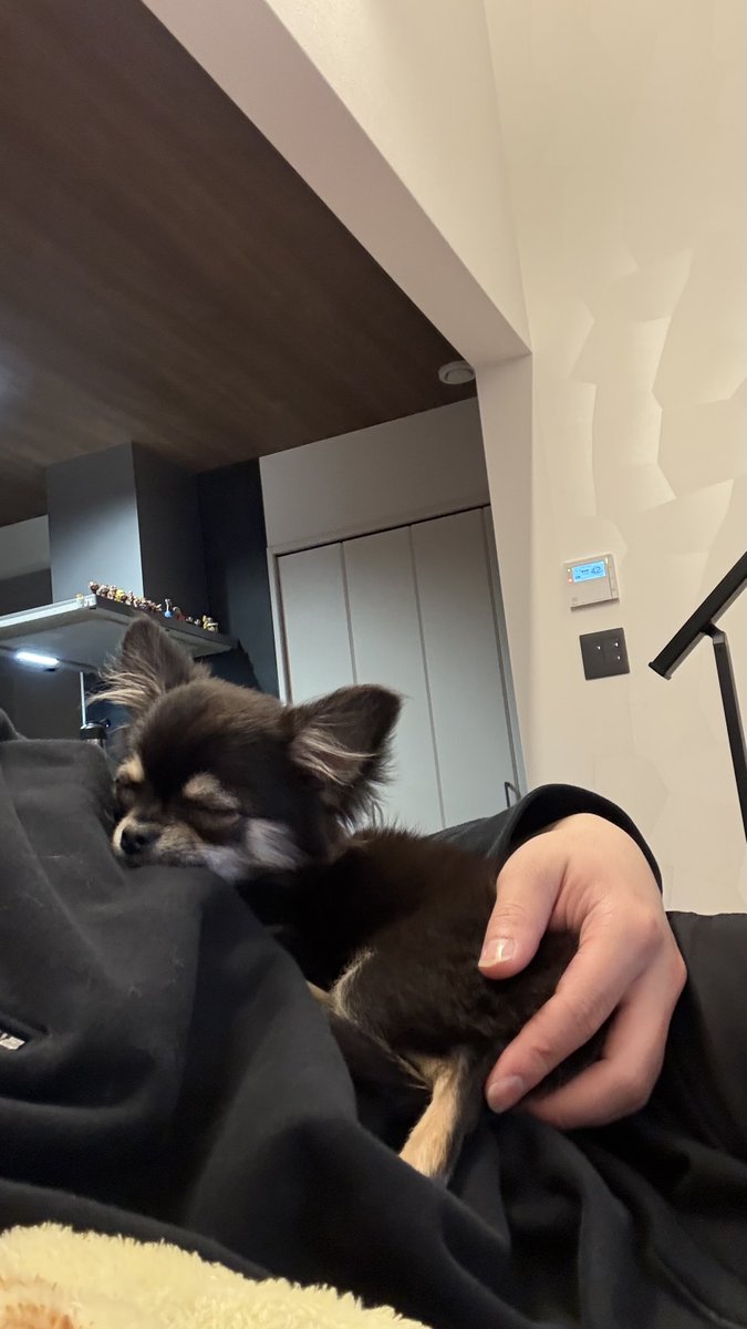 fuyu_4a2u's tweet image. ちょっとデカくなりました🤏