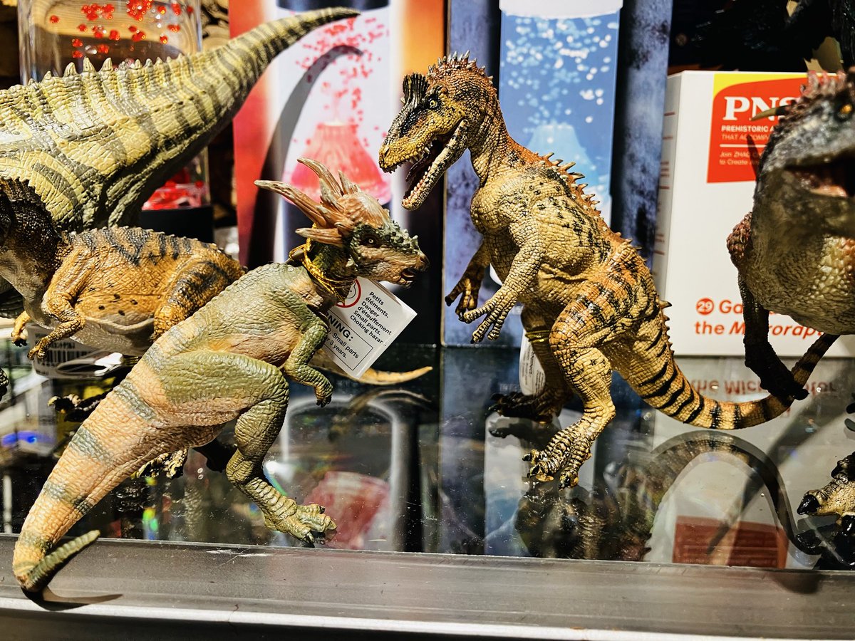 FLORA & FAUNA 自然のデザイン FLORA & FAUNA 自然のデザイン