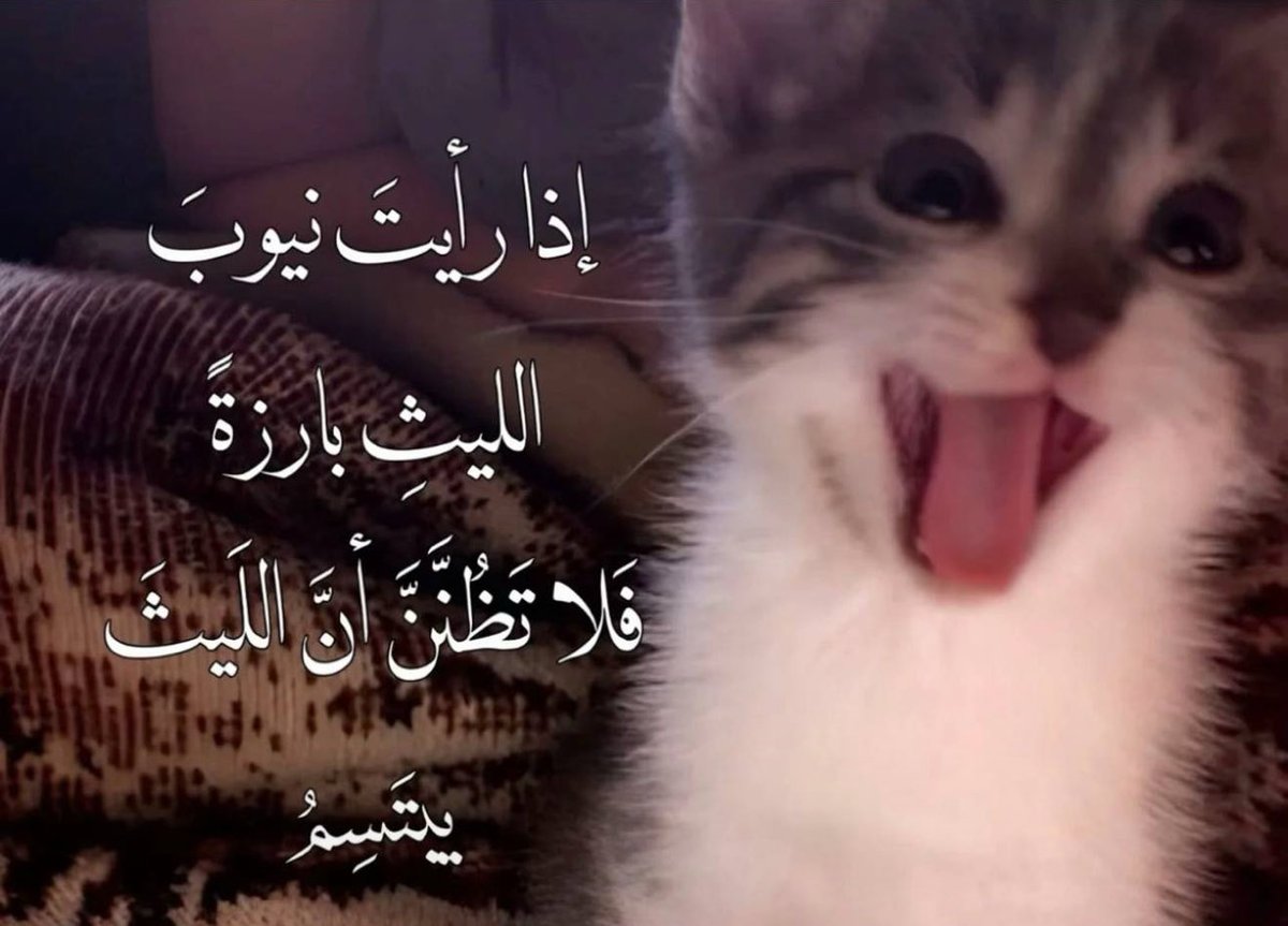 غامض tweet media