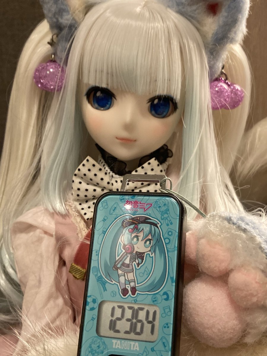 ②猫の日♡限定m(=✧ω✧=)m✧ ✧ ✧ 白猫♡白猫　猫ひな人形 まさみねこ on X