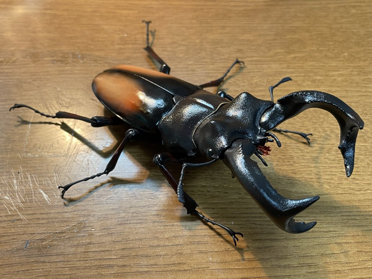 ゆうき(優希)♦️🟢 on X