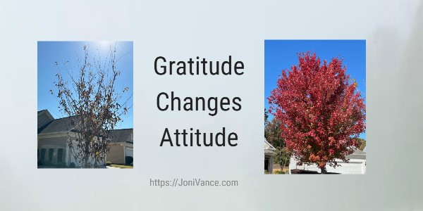 Gratitude Changes Attitude - How does gratitude help you? jonivance.com/blog/gratitude… via <a href="/AuthorJoniVance/">Joni Vance</a>