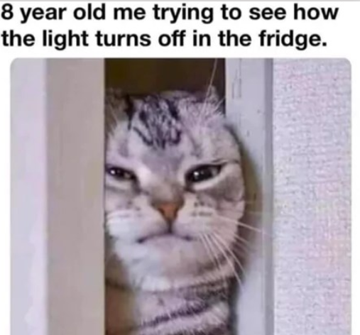 WholesomeMeme's tweet photo. https://t.co/Qz882lekPr
