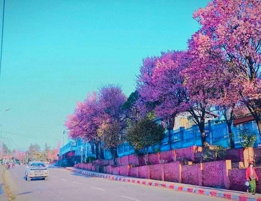 AaKil_zThang's tweet image. Part #1
ငါမလွမ်းပဲ မနေနိုင်တဲ့မြို့ငယ်လေး ဟားခါးမြို့

#Hakha
#ဟားခါး
#Aakil
#X