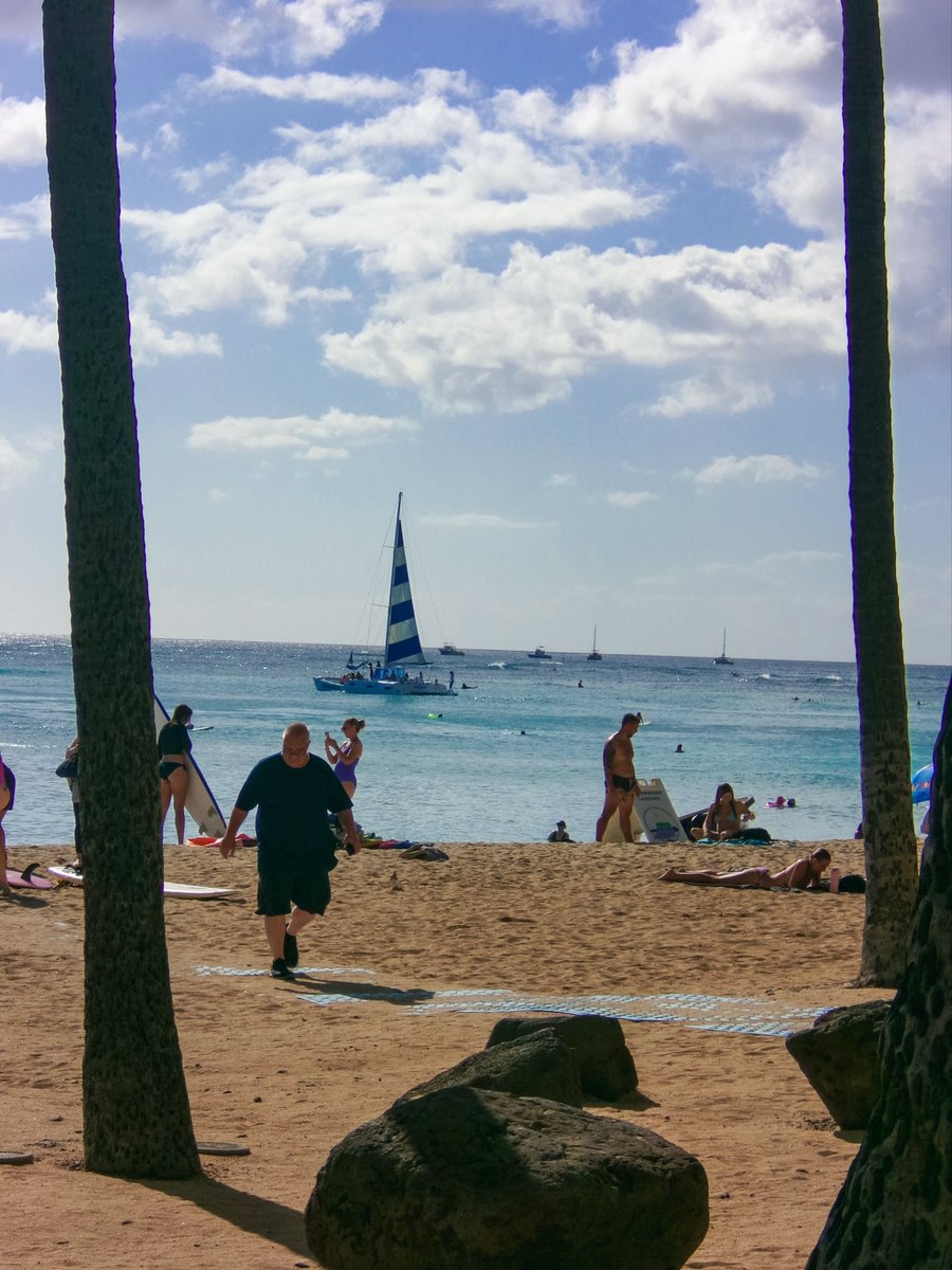 HrysBasics's tweet image. ご無沙汰しております。
ちょっと1年越しの新婚旅行というわけで南の島、ワイハーに来ております。

この度の相棒はフルサイズ置いて行ってKodak FZ45。写真久々にめっちゃ撮ったー！
ちょっとづつアップしていきまーす。