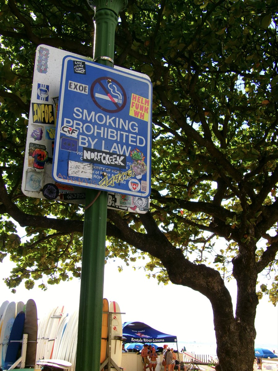 HrysBasics's tweet image. ご無沙汰しております。
ちょっと1年越しの新婚旅行というわけで南の島、ワイハーに来ております。

この度の相棒はフルサイズ置いて行ってKodak FZ45。写真久々にめっちゃ撮ったー！
ちょっとづつアップしていきまーす。