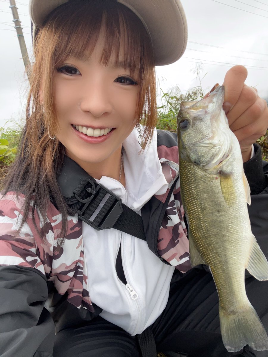 あーちゃん (@ayachibita) / Posts / X