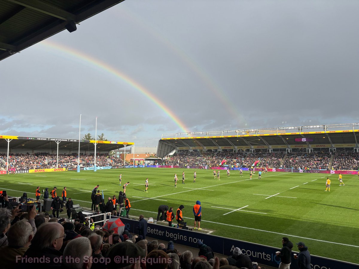 Friends Of The Stoop #COYQ 🃏 tweet media
