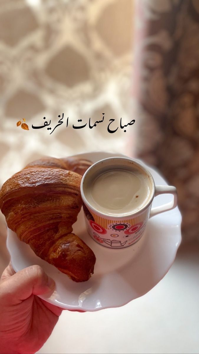 صباح الجمال اللي يليق فيك 💋
#صباح_الخير