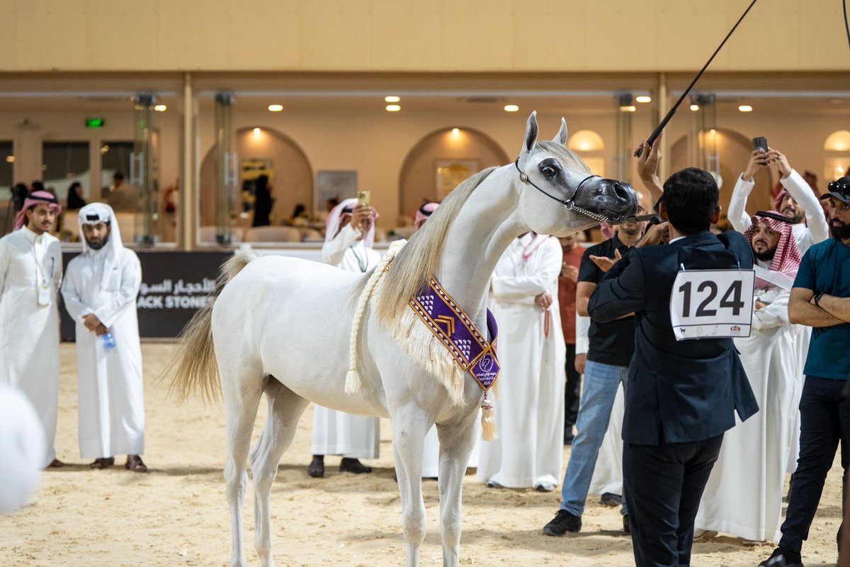 اختتام فعاليات بطولة الإنتاج المحلي لجمال الخيل العربية الأصيلة 2025
التي شارك فيها ما يزيد عن " 300” رأس من نخبة جياد الإنتاج المحلي للخيل العربية الأصيلة من مختلف مناطق المملكة .

#مكة_الآن